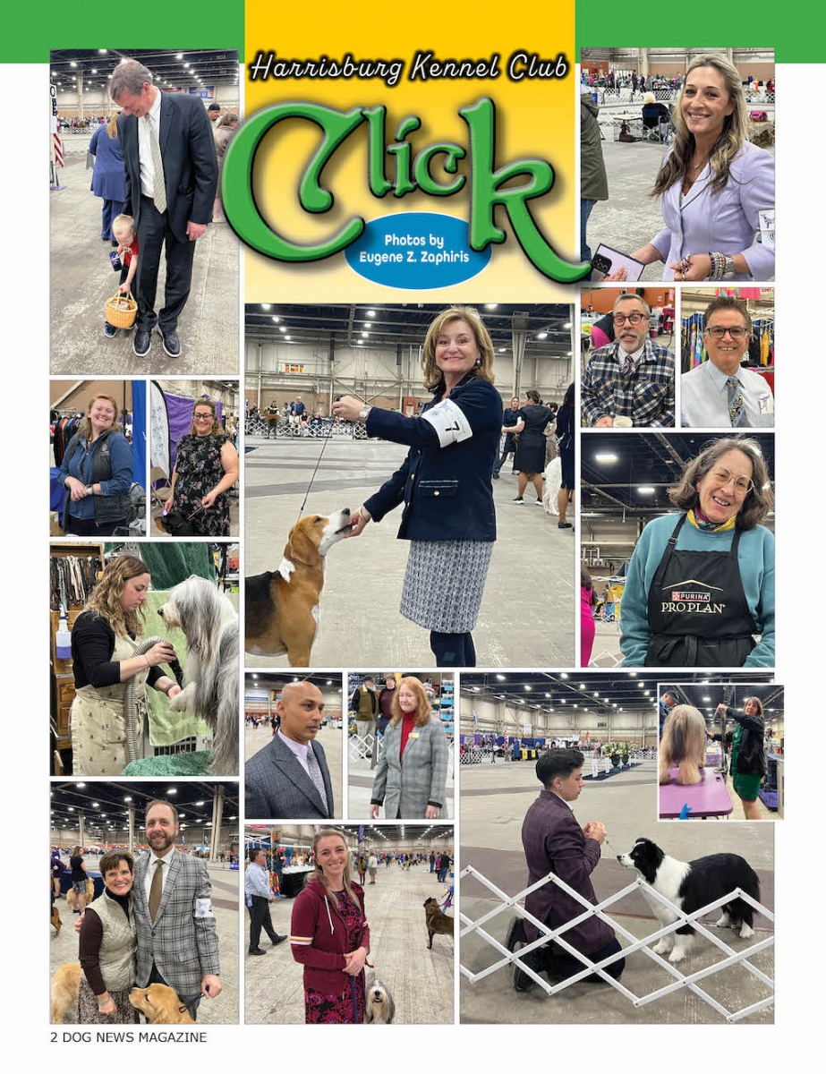 2024 Harrisburg Kennel Club Dog News